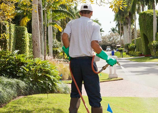 About Columbus MI Pest Control